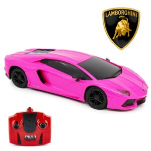 Lamborghini Aventador Radio Controlled Car 1:24 Scale Pink