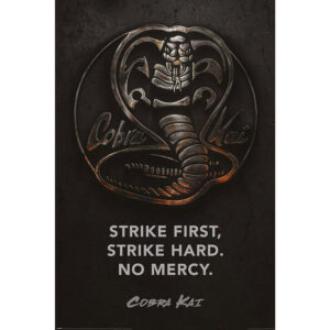 Cobra Kai Poster Metal 205