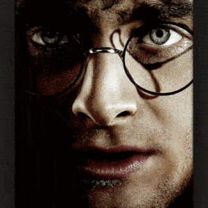 Harry Potter Framed 3D Picture