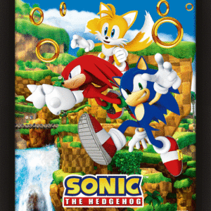 Sonic The Hedgehog Framed 3D Picture